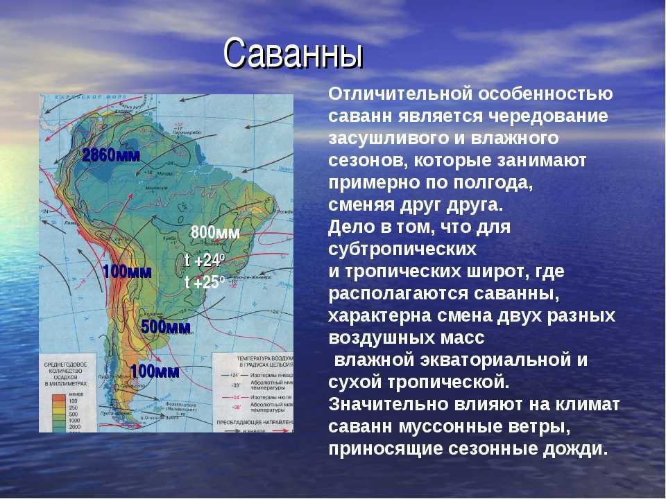 Положение по отношению к океанам южной америки. Положение Южной Америки. Саванны Южной Америки географическое положение. Зоны Южной Америки. Географические зоны Южной Америки.