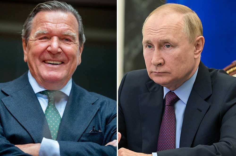 Встречу путина и шредера подтвердил официальный представитель кремля
