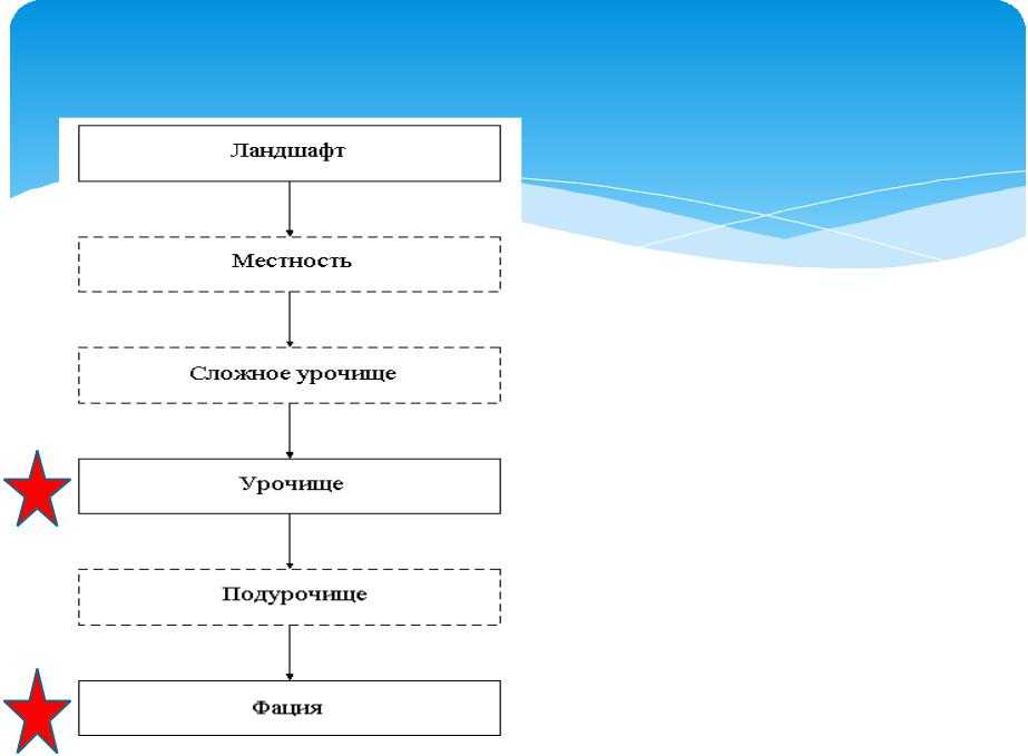 Ландшафтный исследование территории. контрольная работа. экология. 2011-10-24