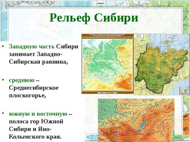 Западно-сибирская равнина