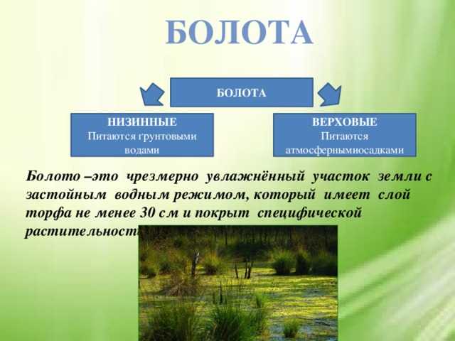Мифология и легенды болот россии