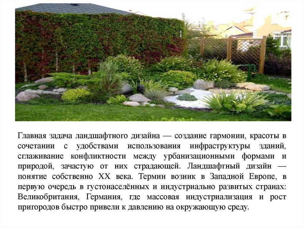 Рельеф земной поверхности или топографический рельеф — природа мира