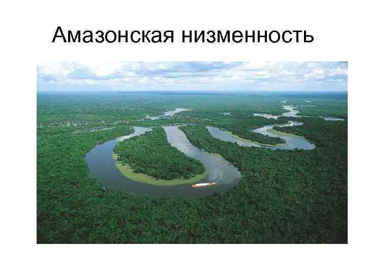 В каком городе находится амазонская низменность?