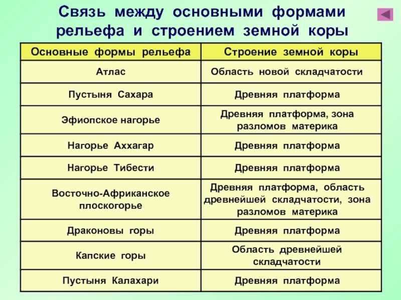 Черты сходства и различия африки и южной америки