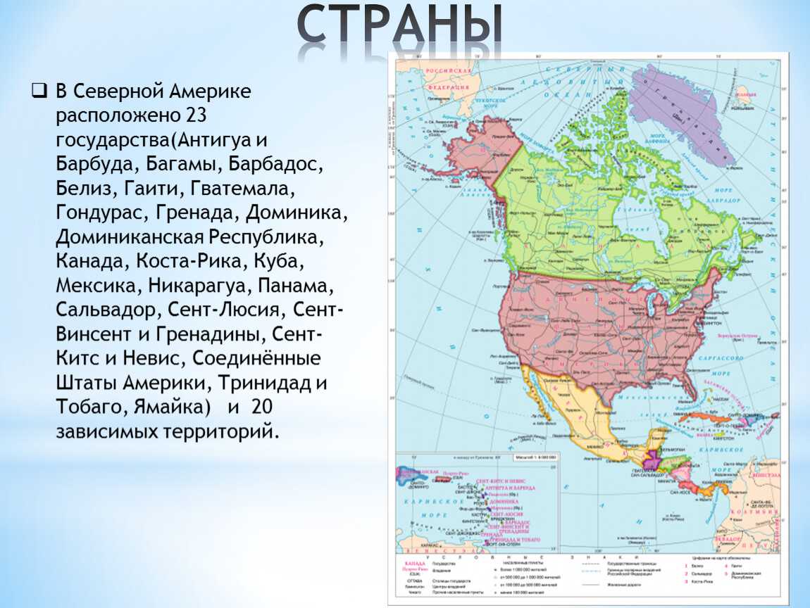 Особенности материка северная америка 7 класс кратко география