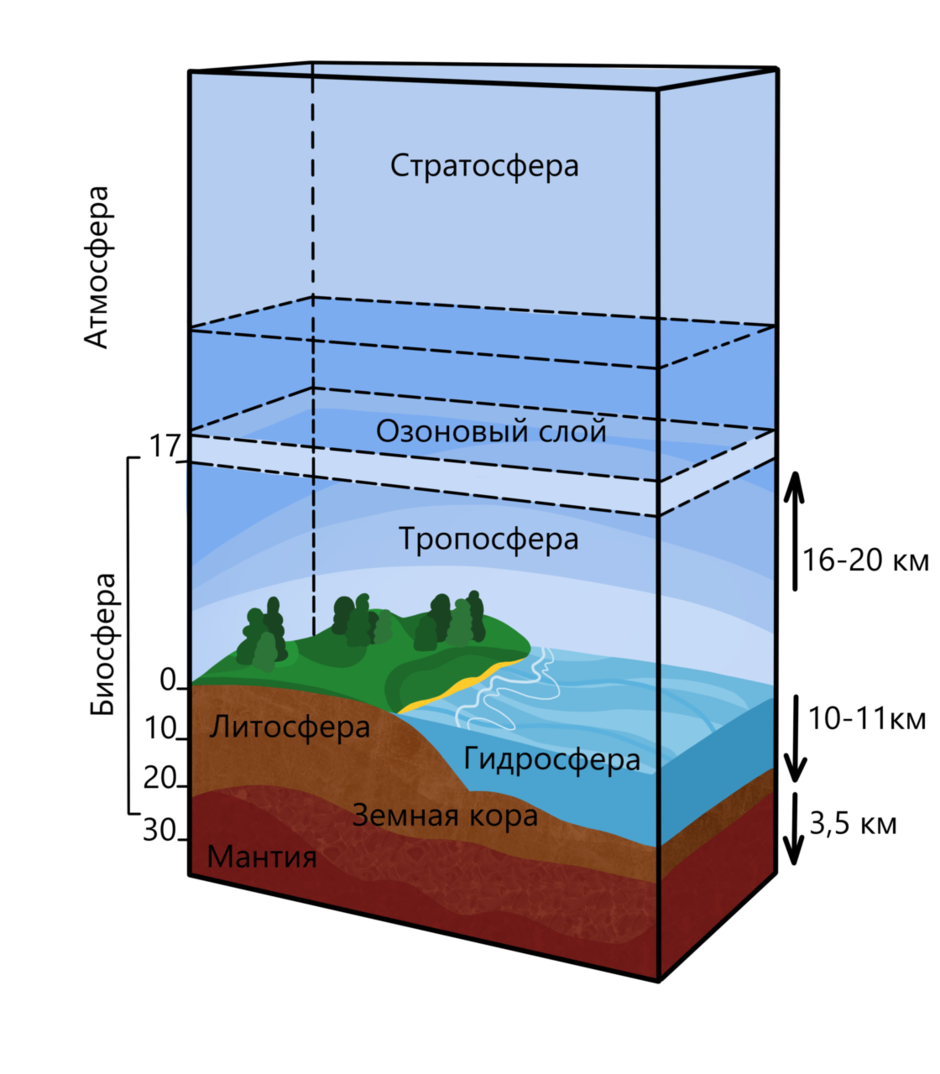 Биосфера верхняя часть литосферы нижняя часть атмосферы. Границы биосферы атмосфера гидросфера литосфера. Рис 103 границы биосферы. Биосфера строение оболочки. Границы биосферы 9 класс биология.