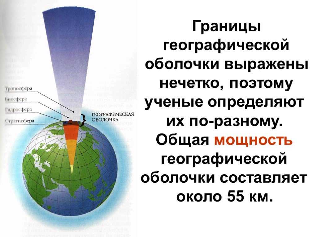 Урок 8: оболочка географическая - 100urokov.ru