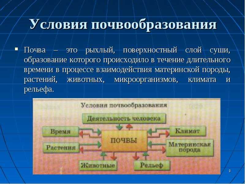 Как климат влияет на плодородие почвы: основные факторы и их влияние