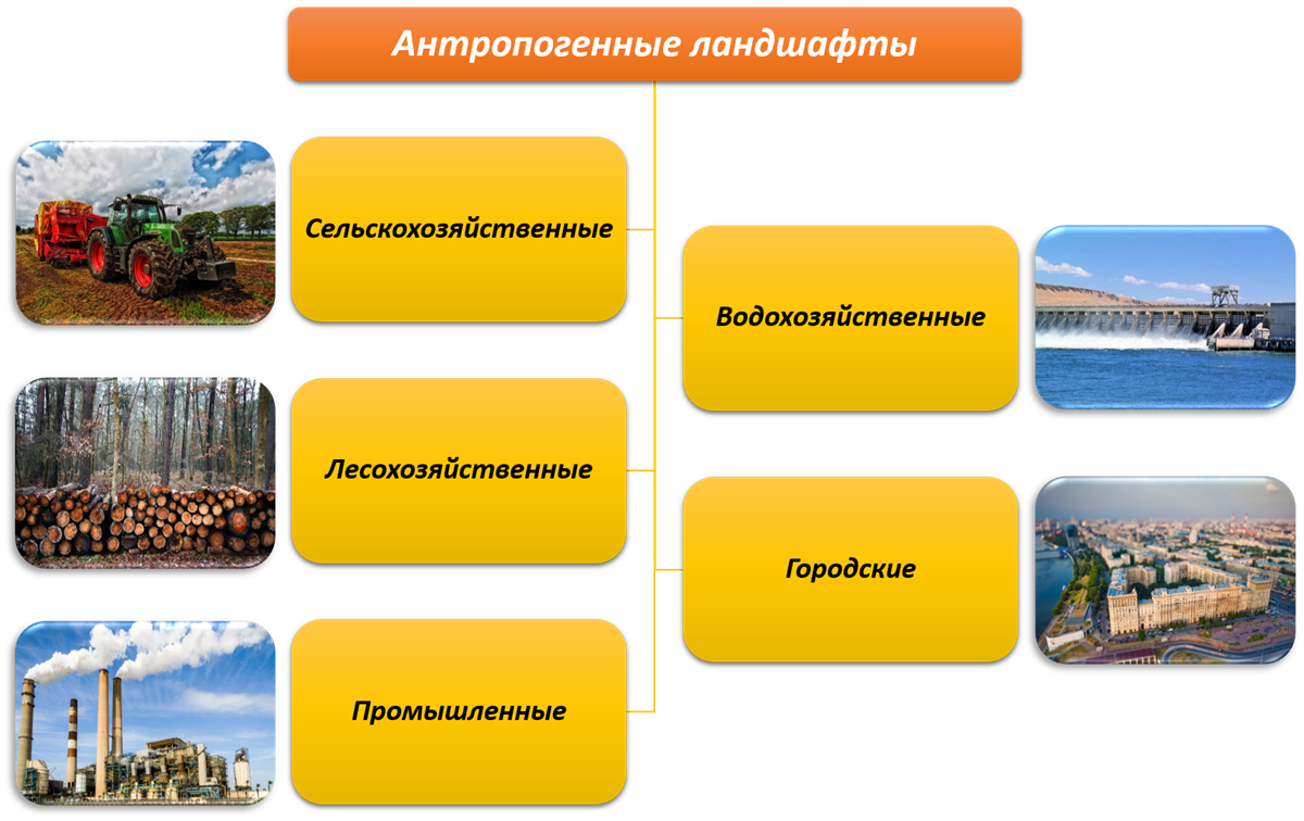 Отличия естественного ландшафта от антропогенного: основные особенности