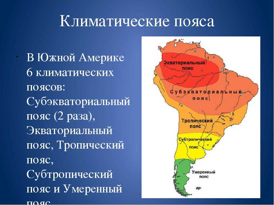 Природные  зоны южной америки: в каких расположена, список по масштабу, какая самая большая