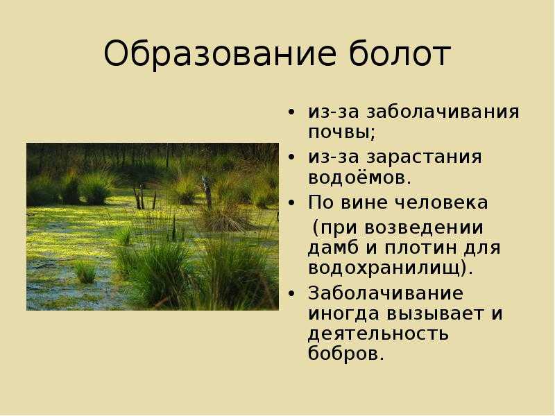 Центр подготовки космонавтов им. ю.а.гагарина. официальный web-сайт