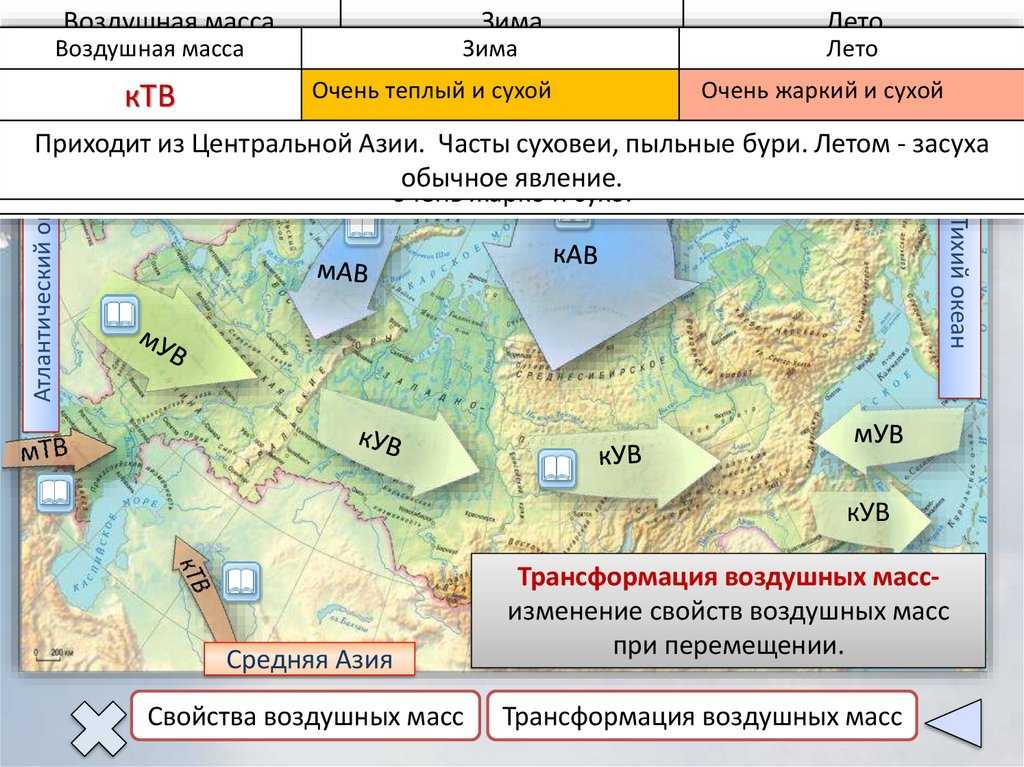 Климатические  пояса россии: список, их географическое положение и характеристики