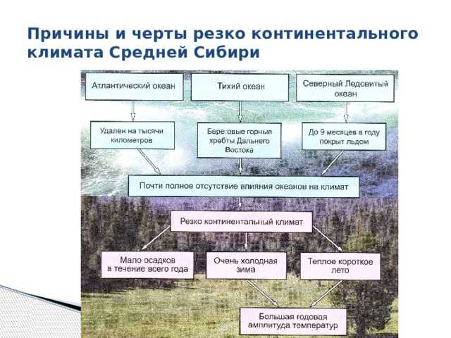 Русская равнина. природа региона