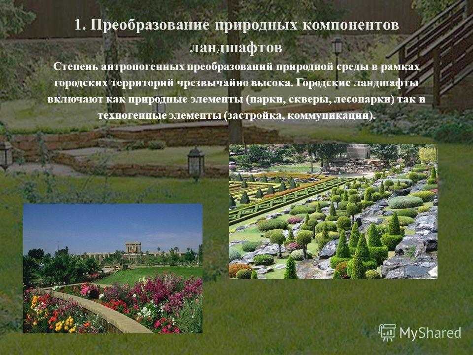 В чем особенности городского ландшафта кратко. Культурный ландшафт местности. Природно-антропогенные ландшафты. Антропогенный ландшафт. Городские антропогенные ландшафты.