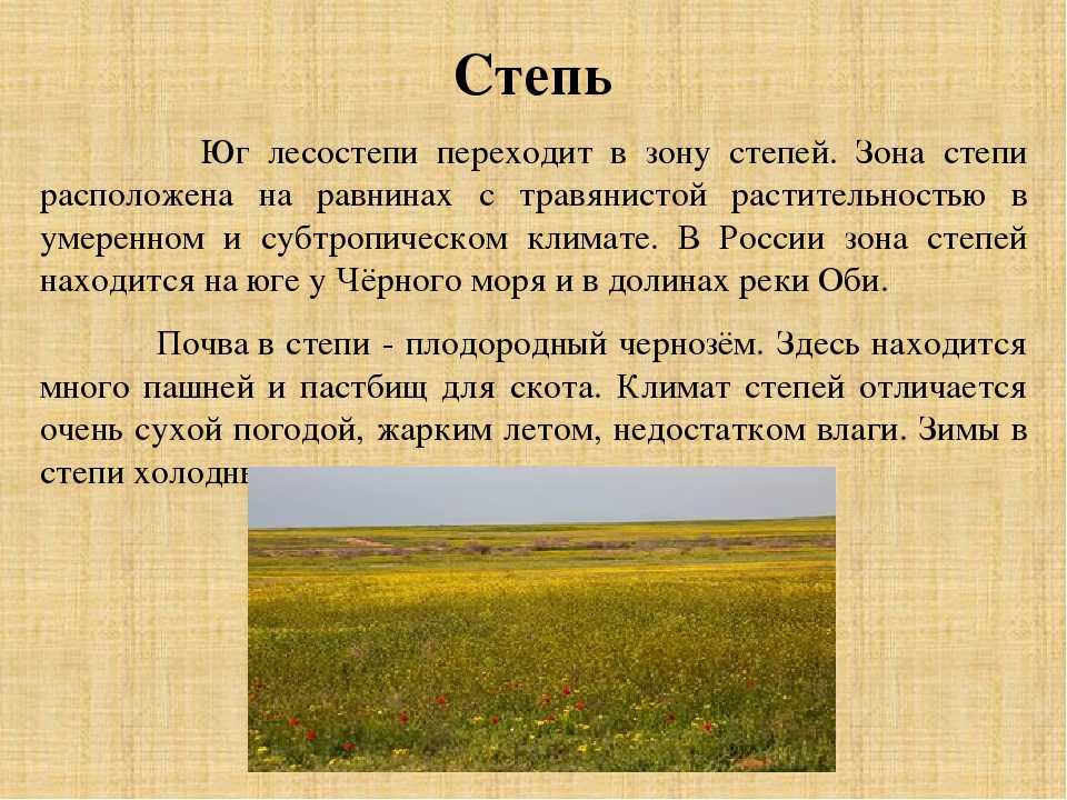 Природное сообщество степь презентация. Описание степи. Доклад про степь. Степь природная зона. Конспект степи.