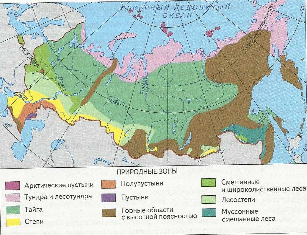 Природные зоны мира — названия, описание и карта — природа мира