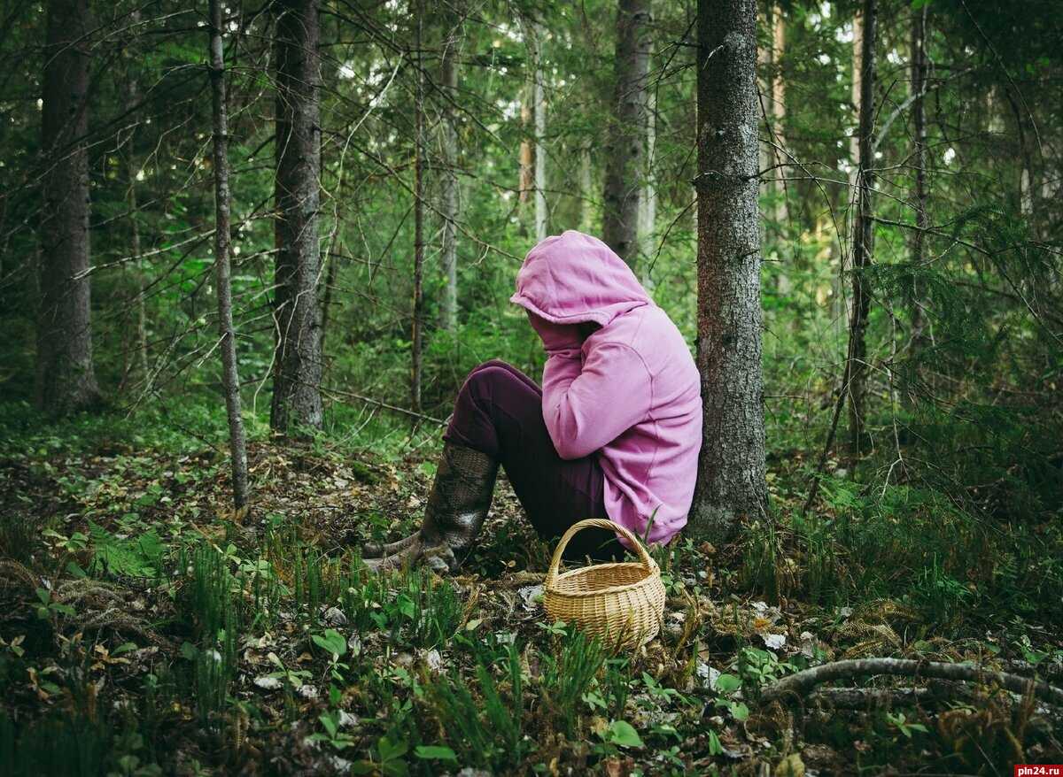 Как не заблудиться в лесу с помощью смартфона