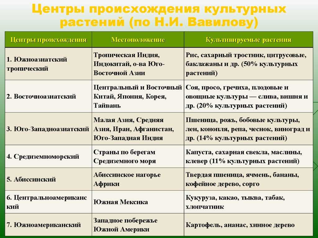 Центры происхождения культурных растений. конспект - учительpro