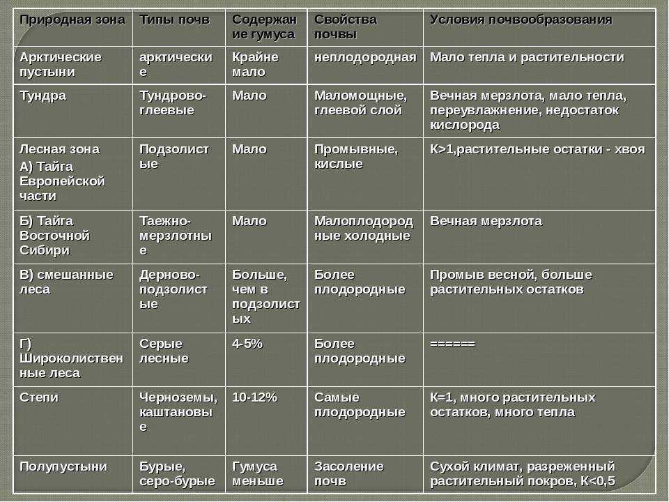 Климатические  пояса россии: список, их географическое положение и характеристики