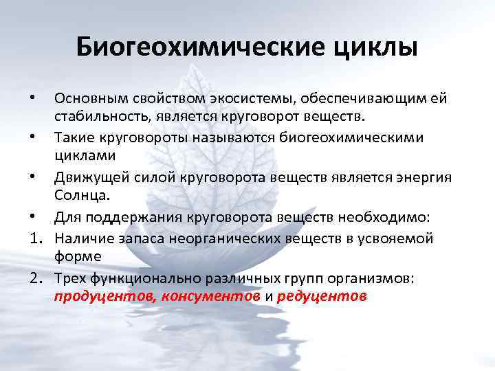 8 важнейших биогеохимических циклов (описание) - наука - 2023