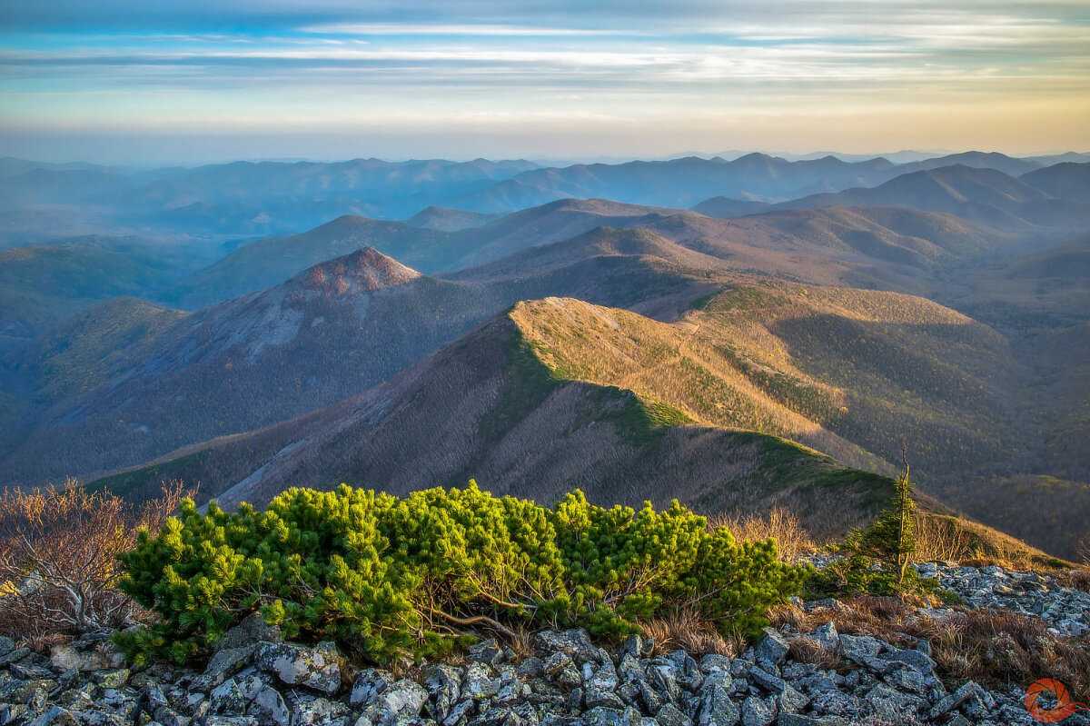 Горы сихотэ-алинь - высота хребта, рельеф нагорья, фото
