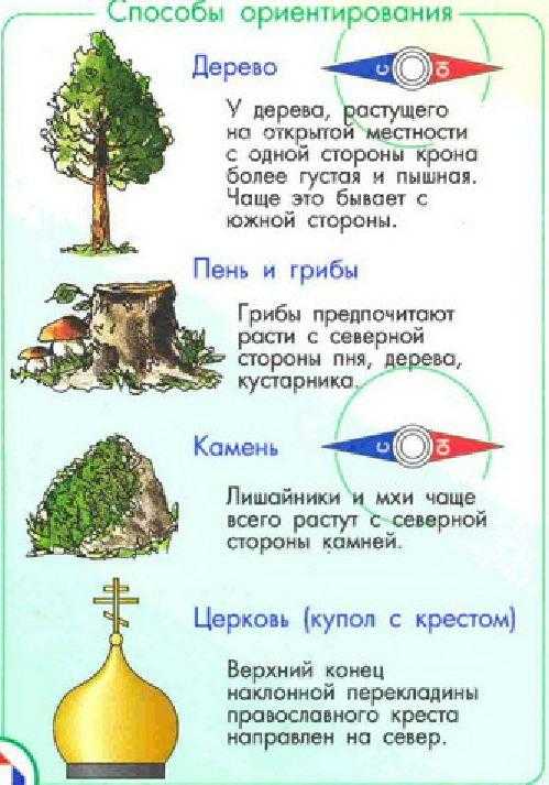 Что такое линейный ориентир и как его использовать