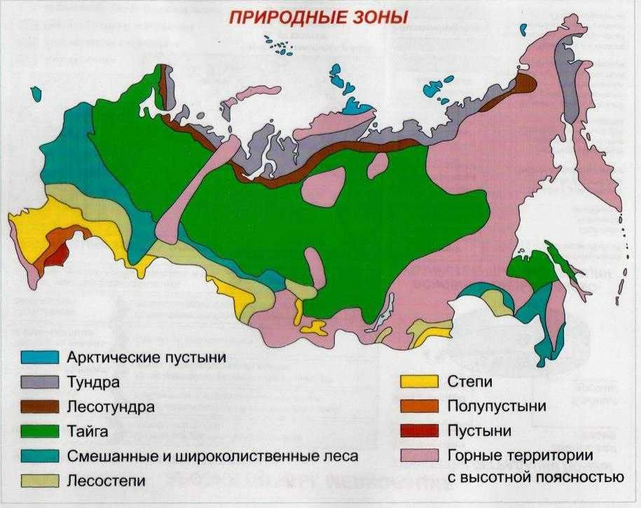 Азовский кубанские равнины растительный мир. растительный и животный мир кубани