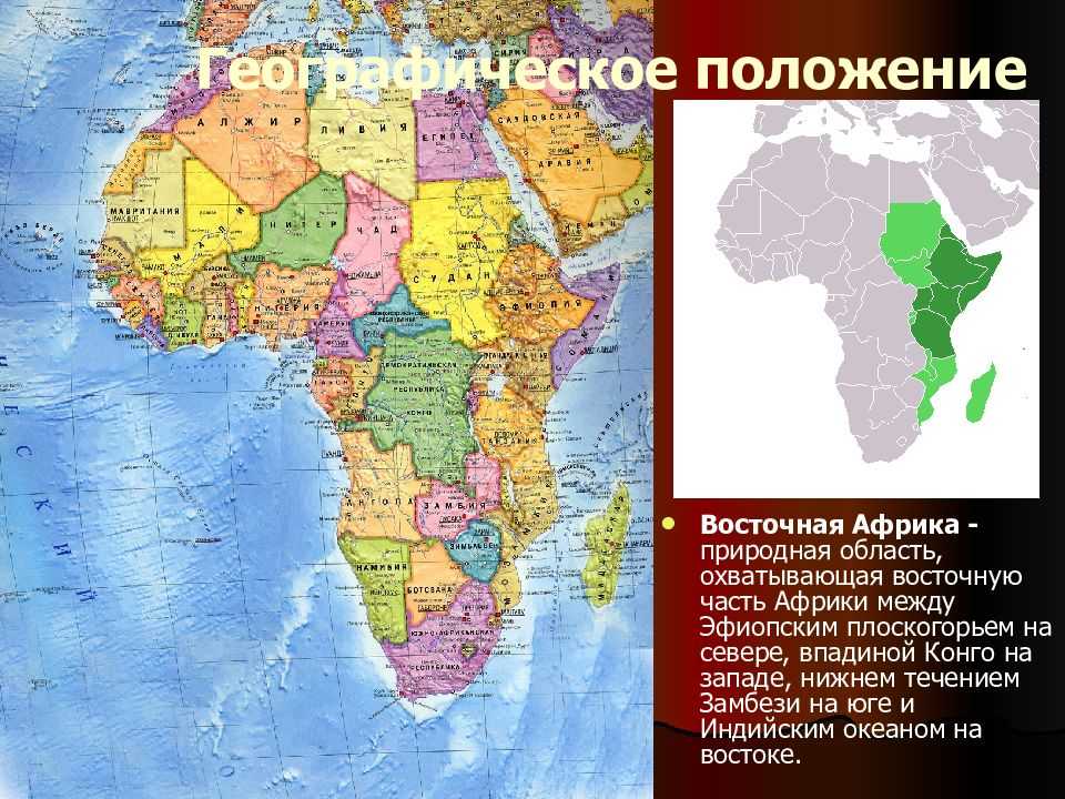 Сколько полушариях расположена африка