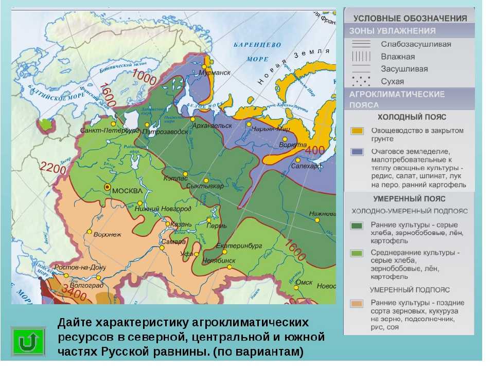 Центральный экономический район