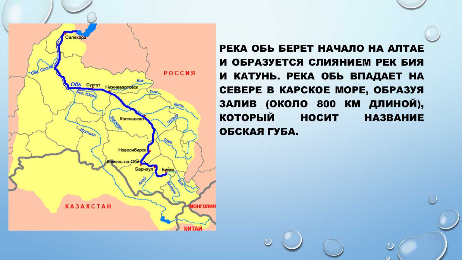 ​60 интересных фактов о реке обь — общенет