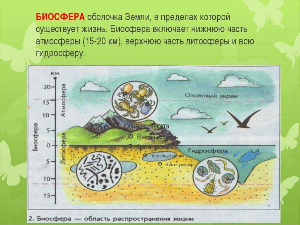 Ламарк и его историческая роль: введение термина "биосфера"